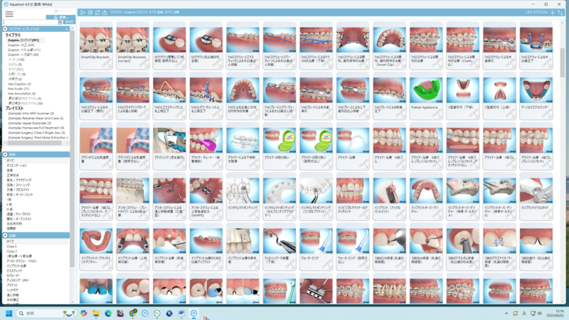 ドルフィン1_コピー